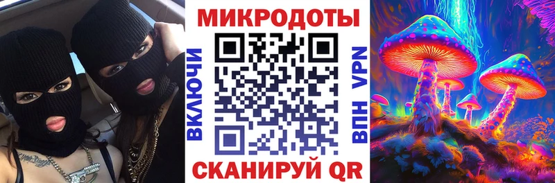 Галлюциногенные грибы Psilocybe  Гвардейск 