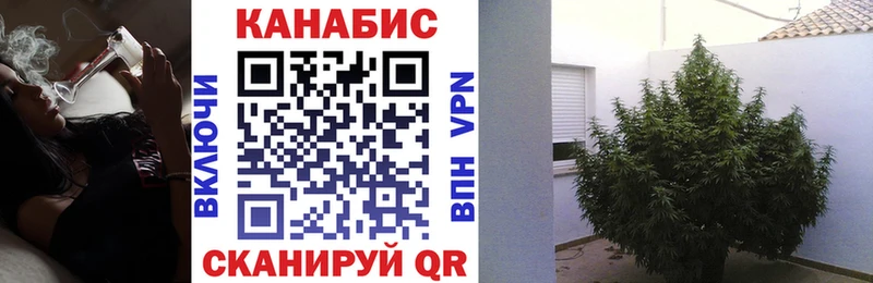 blacksprut зеркало  Гвардейск  Марихуана VHQ 